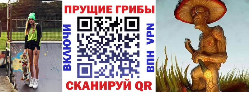 Купить  Волоколамск  Галлюциногенные грибы мицелий 